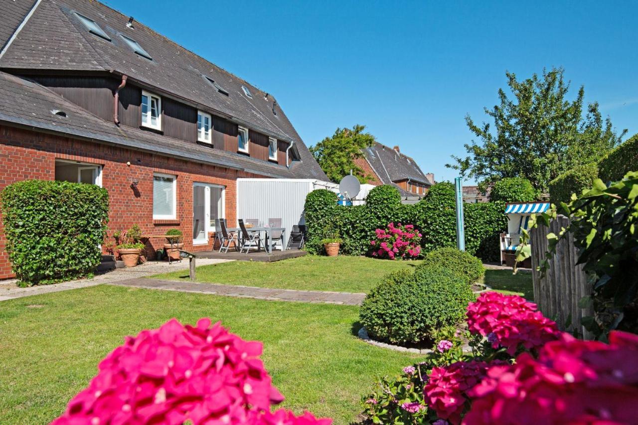 Bachstelze List auf Sylt
